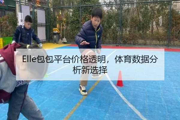 Elle包包平台价格透明，体育数据分析新选择