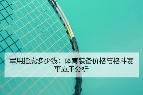 军用指虎多少钱:体育装备价格与格斗赛事应用分析
