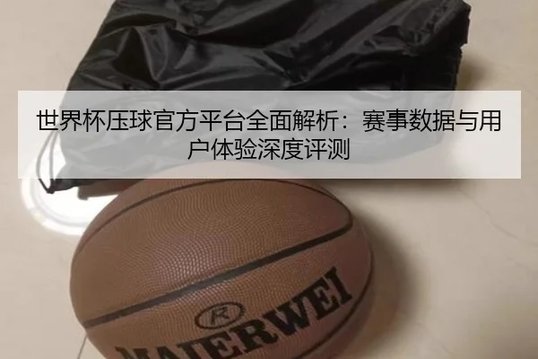 世界杯压球官方平台全面解析：赛事数据与用户体验深度评测